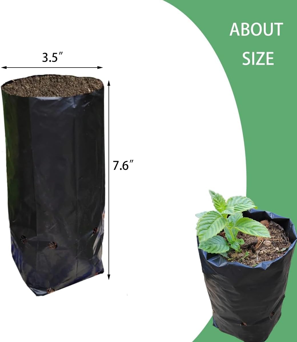 Belit 100 Pcs Plant Nursery Bags, Plastic Seedling Pots Container for Fruit Tree, Flower, Starting saplings, Plant Grow(3.5"x7.6")