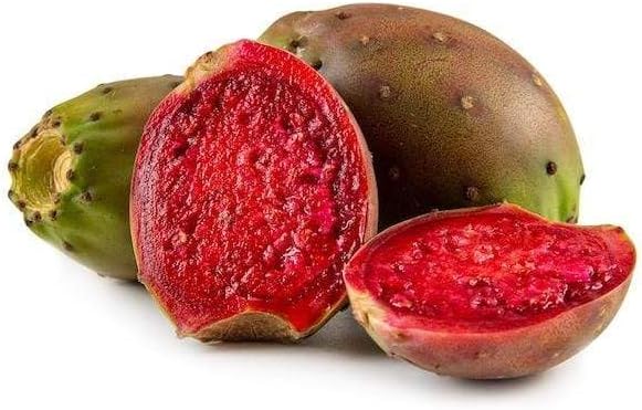 Greenhouse PCA Red Cactus Pear Seeds (Optunia Ficus-Indica), 10 Count, Drought Tolerant, Year-Round Planting, Sand Soil, Seeds