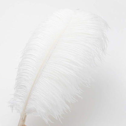Ballinger Large White Ostrich Feathers - 24Pcs 12-14inch Large Feathers for Vase,Party Centerpieces,Wedding and Home Decor
