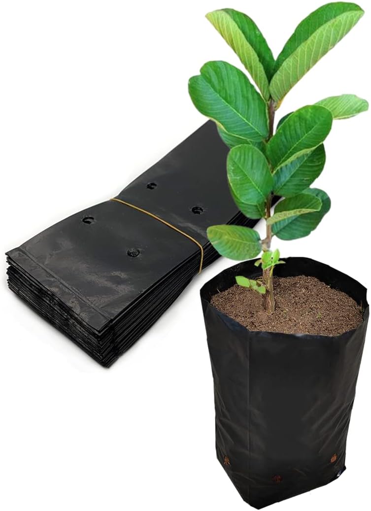 Belit 100 Pcs Plant Nursery Bags, Plastic Seedling Pots Container for Fruit Tree, Flower, Starting saplings, Plant Grow(3.5"x6.6")