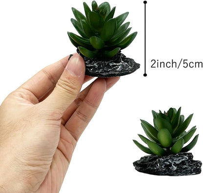 Smoothedo-Pets Reptile Artificial Plants Succulent Terrarium Decor Desert Rainforest Plant Lizard Beard Chameleon Gecko Snake Amphibious Sea Turtle Tank Accessory (Dark-Green-3pcs-Se)