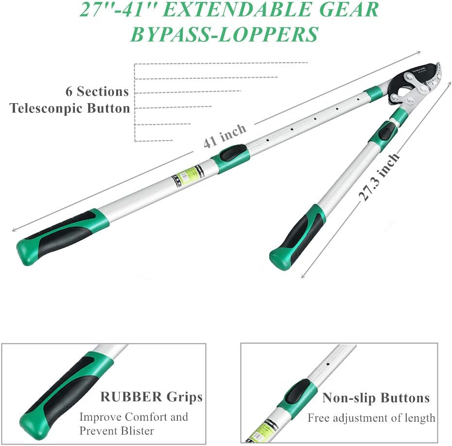 Heavy Duty Anvil Lopping Shears -2 inch Cutting Capacity Bypass Lopper - Extendable 26 Inch to 41 Inch,Professional Tree Branch Cutter