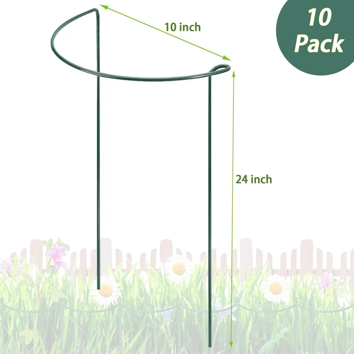 10 Pack Plant Support Stakes, 4 mm Thick 24 Inch Half Round Metal Garden Stakes, Plant Support Cages Ring for Peony Tomato Hydrangea Rose Flower Indoor Outdoor (10" Wide x 24" High)