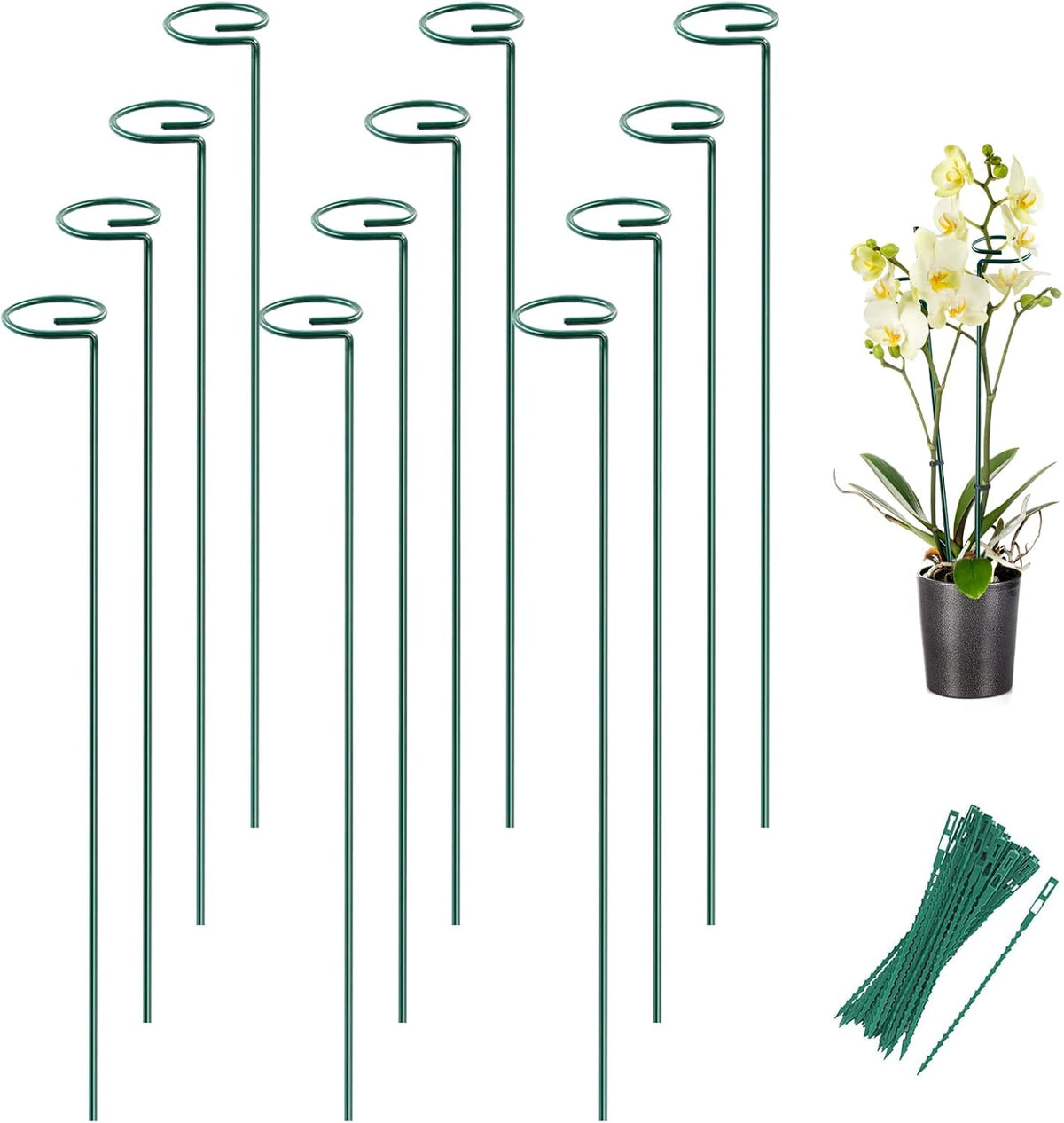 Joyhalo 12 Pack Plant Support Stakes 24 Inch, Plant Stakes, Flower Stakes with 24 Twist Ties, Garden Sticks for Plants Iris, Dahlia, Gladiolus, Amaryllis, Rose, Sunflower, Tomato, Sapling Etc
