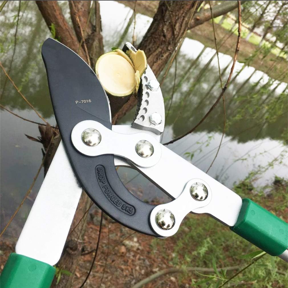 TUOSEN SK5 High-Performance Compound Action Anvil Lopper,Chops Thick Branches with Ease,2 Inch Cutting Capacity,28inch-40inch Telescoping Lopper, Tree Trimmer with Sturdy&Comfortable Handle