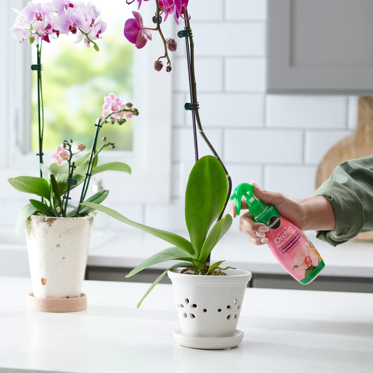 Miracle-Gro Ready to Use Orchid Plant Food Mist, Feeds All Types of Indoor Orchid Plants, 8 oz.