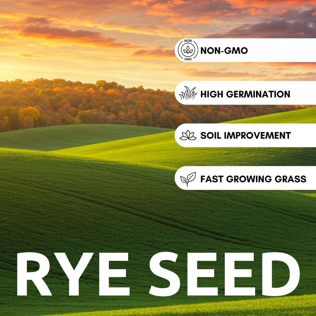 Rye Grain Seeds – 5 lbs – Open-Pollinated Cover Crop and Forage Mix for Soil Improvement, Erosion Control, and Deer Food Plots