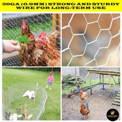 Chicken Wire 60 in x 150 FT x 2” Mesh x 20GA | Poultry Wire Netting | Hot Dipped Galvanised | Hexagonal Galvanized Mesh for Chicken Coop, Rabbit Cage, Fence Barrier PM60x150x2
