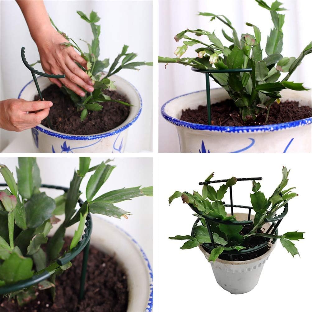 Belit 8 Pack Plant Supports for Small Plants, Garden Flowers Green Plant Support Ring, Planter Support Ring for Schlumbergera, Clivia, Succulents, 5.5" Wide x 5.9" High
