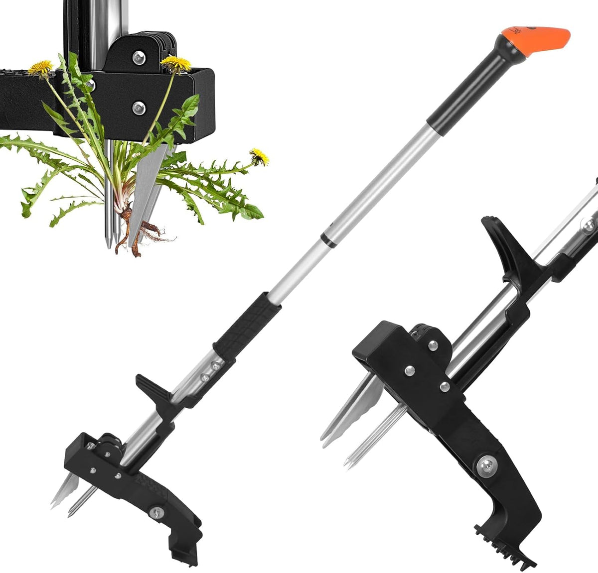 SHANTRA Weed Puller Tool, 4-Claw Stand Up Weed Puller Tool with Long Handle, Adjustable Weeder Puller Heavy Duty Stand Up Weeder, Weeding Tool for Lawn, Yard, Garden, Crabgrass, Dandelion Picker