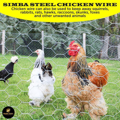Chicken Wire 60 in x 150 FT x 2” Mesh x 20GA | Poultry Wire Netting | Hot Dipped Galvanised | Hexagonal Galvanized Mesh for Chicken Coop, Rabbit Cage, Fence Barrier PM60x150x2