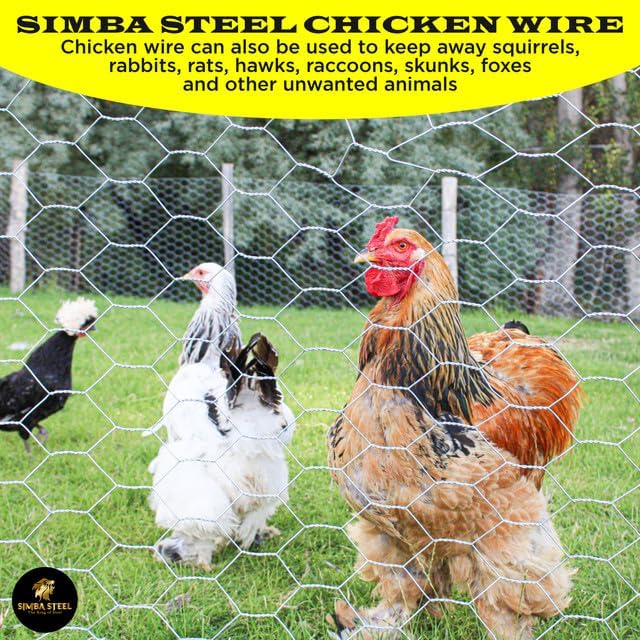 Chicken Wire 18 in x 50 FT x 2” Mesh x 20GA | Poultry Wire Netting | Hot Dipped Galvanised | Hexagonal Galvanized Mesh for Chicken Coop, Rabbit Cage, Fence Barrier PM18x50x2