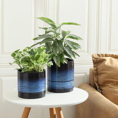 Nihow Self Watering Plant Pot: 6 Inch Ceramic Planter with Drainage Hole & Water Storage Plus for Indoor & Outdoor Plants - Cylinder Round Flower Pot for Succulent/Herbs/Violets - Black & Vivid Blue