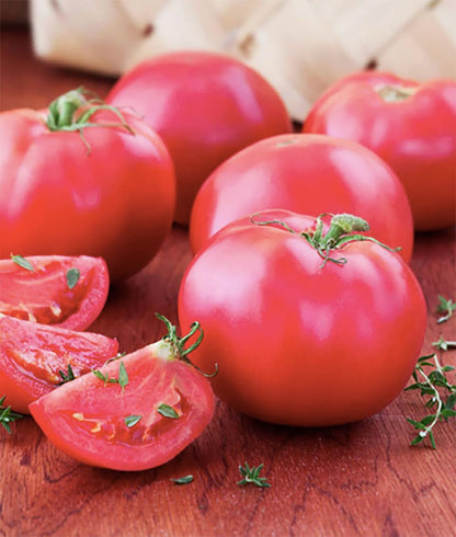 Bradley Tomato Seeds - Determinate Tomato which Makes Canning Easier as The Tomatos Ripen at The Same Time - 100 Seeds