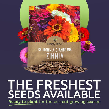 Zinnia Seeds - California Giants Mix - Large 1 Ounce Packet - 3,000 Flower Seeds - Mixed Colors and Large Blooms