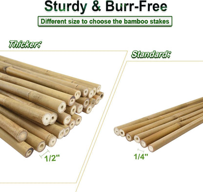 1/2" D 4 Feet Bamboo Stakes 50 Pack, Thicker Heavy-Duty Plant Stakes, Natural Garden Stakes for Bean, Tomato, Bean, Flowers,Trees Potted and Climbing Plant Support