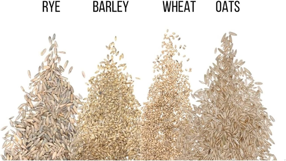 Cat Grass Seeds for Growing | 4 Way Blend, Rye, Wheat, Oats and Barley | (1/2 Pounds)