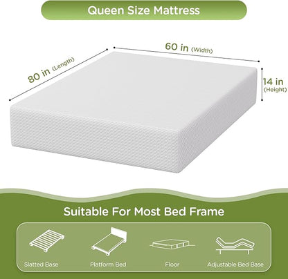PayLessHere 14 Inch Queen Mattress Base Foam Mattress,Removable Soft Cover,Bunk Bed, Trundle, Daybed,White，Fiberglass Free
