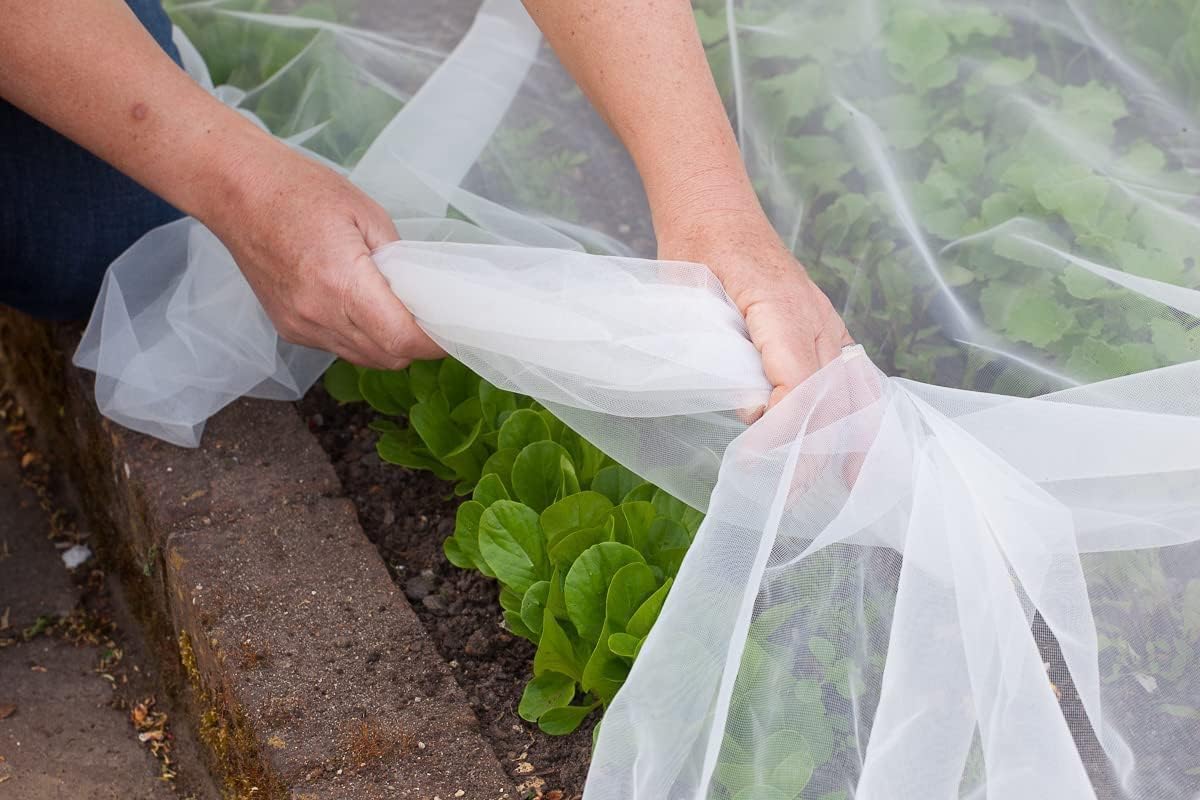 Agfabric Bird Netting 72" Hx72 W Garden Netting,Plant Cover Fruit Tree Netting Mesh Protection Bag with Drawstring,White