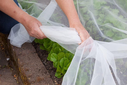 Agfabric Bird Netting 72" Hx72 W Garden Netting,Plant Cover Fruit Tree Netting Mesh Protection Bag with Drawstring,White