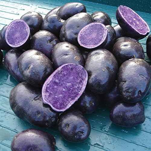 Simply Seed - Purple Majesty - Naturally Grown Seed Potatoes - 3 LB- Ready for Planting - American Raised - Real Potatoes - Non GMO