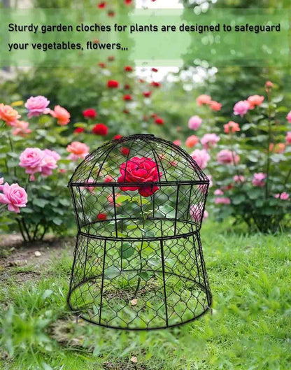 Garden Cloches for Plants 2 Pack Metal Plant Protectors from Animals Chicken Wire Cloche Updated Plant Cages for Outdoor Plants Vegetables Seedlings 13" D x 14" H