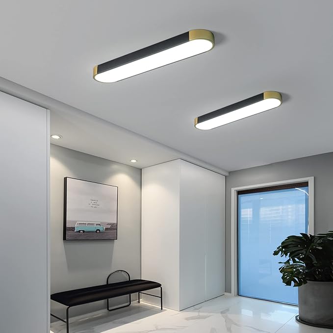 Tioolo Modern Ceiling Light, Acrylic Linear Ceiling Lamp, Dimmable LED Ceiling Light Fixture with Remote Control, Kitchen Dining Living Room Cloakroom Hallway Lighting (36W/27.5in L)
