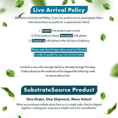 SubstrateSource Anubias Live Aquarium Plants - Potted Freshwater Plant for Fish Tanks, Terrariums - Beginner Friendly Low Light (Short and Sharp, Mother Plant)