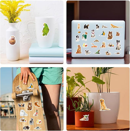 Pet Animals Stickers 660 Count Dog Cat Animal Pet Rabbit Parrot Fish Bird Reptiles Stickers Party Favors Gifts Sticky Decor for Scrapbook Calendar Planner Gift Wrap Decor