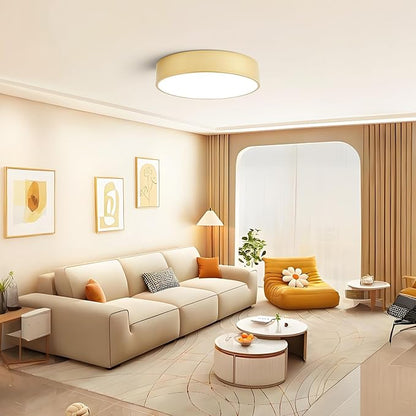 Dimmable Modern Large Flush Mount Close to Ceiling Light Fixture,Round Painted Gold LED Ceiling Mounted Lights Fixtures,5CCT 2700K-6000K Lighting for Kitchen Master Bedroom Living Room,15.7in