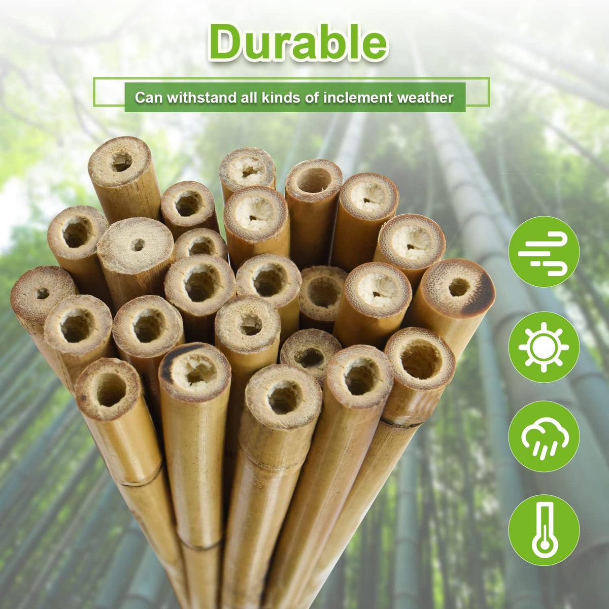 15pcs 3/4" D Thicker Heavy Duty Bamboo Stakes, 7FT Plant Stakes, Natural Garden Stakes for Tomato, Bean, Flowers,Trees Potted and Climbing Plant Support