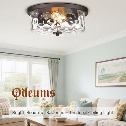 Indoor Flush Mount Lights, 2-Light Interior Hammered Glass Ceiling Fixture, Antique Bronze for Hallway, Dining Room, Kitchen