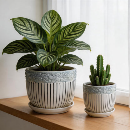 FOLKLORE13 Vintage Flower Pots for Indoor Plant, Round Ceramic Plant Pots with Drainage Holes and Saucers, 6.7/5.2/3.9 Inches Retro Flower Planters Set of 3