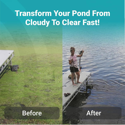 Scott Aerator Aquasweep Dock Mount - 1/2 Horse Power 115V 100 Feet Cord - Water Circulator | Water Agitator | Water Mover