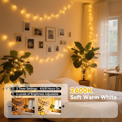LitHome 300LED 99FT Led Fairy Lights Plug in, Color Changing Fairy Lights with Remote, 9 Modes Led String Lights Indoor Dimmable, Fairy String Lights for Girls Bedroom Dorm Classroom Christmas Decor