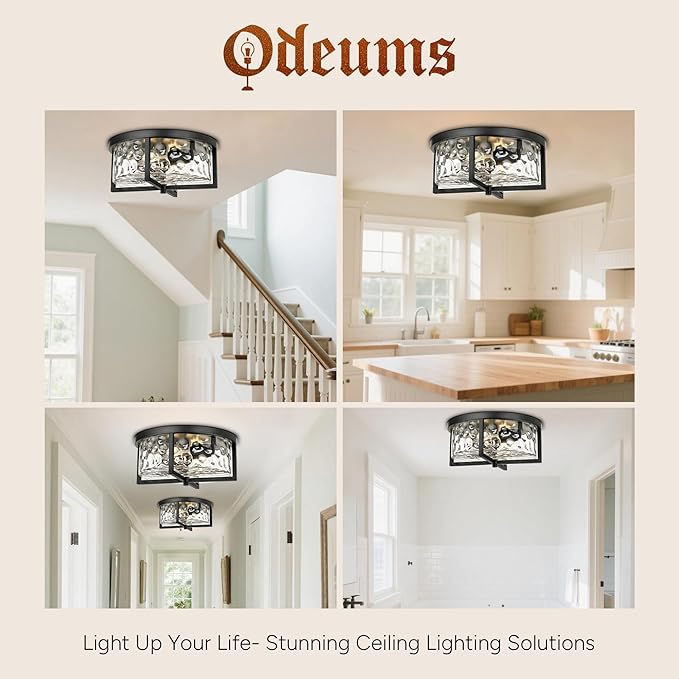 Modern Flush Mount Ceiling Light, 13" D 2-Light Industrial Close to Ceiling Lights, Hammered Glass Ceiling Light,Flush Ceiling Light for Hallway, Kitchen, Bathroom, Dining Room (Black,)