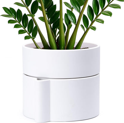 Phoenix Vine 8 Inch Self-Watering Planter Pot with Terracotta Insert, Deep Water Reservoir, and Ceramic-Alike BPA-Free Plastic Planter Pot for Plant, Modern Planter for Houseplants, White, 53-A-T-1