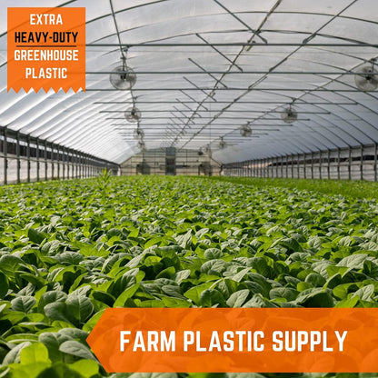 Farm Plastic Supply - Clear Greenhouse Plastic Sheeting - Ultra Durable - 8 mil - (50' x 35') - 4 Year UV Resistant Polyethylene Greenhouse Film for Gardening, Farming, Agriculture