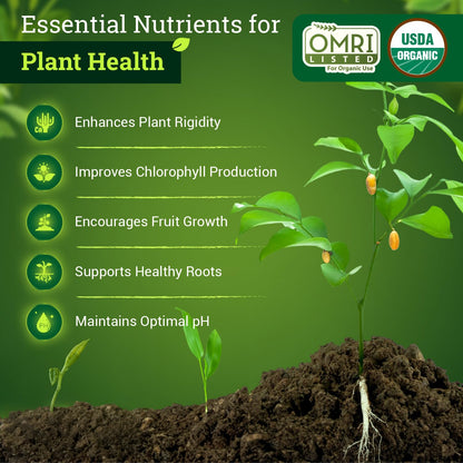 FoxFarm BushDoctor Cal-Mag - Liquid Calcium & Magnesium Supplement, Prevents Blossom End Rot & Tip Burn - Formula with 3% Calcium, 0.9% Magnesium for Gardening- NPK 1-0-0 (Gallon)