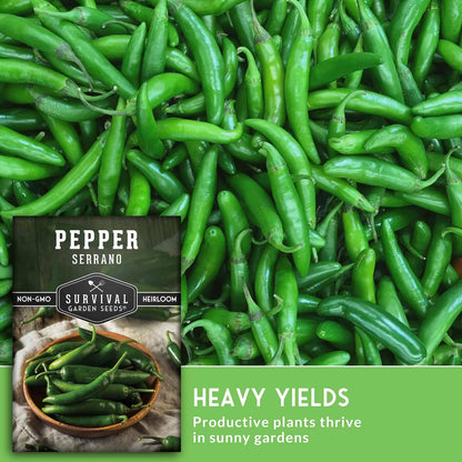 Mexican Serrano Pepper Seeds for Planting | Fresh Hot Chili & Green Hot Pepper Seeds – Heirloom Non-GMO Variety for Sauce, Salsa & Pickling – Survival Garden Seeds (5 Packs)