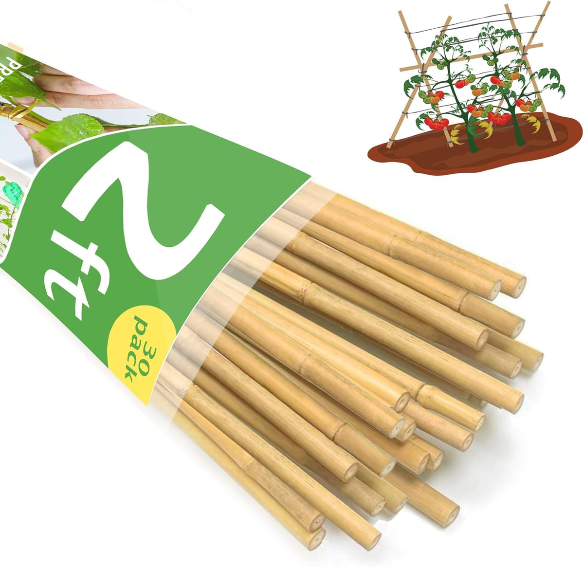 Bamboo Garden Stakes 2ft, 2 Feet Plant Stakes 30 Pack for Outdoor Indoor Plants, Support Tomato, Vegetables Beans, Flowers, Potted and More Climbing Plants
