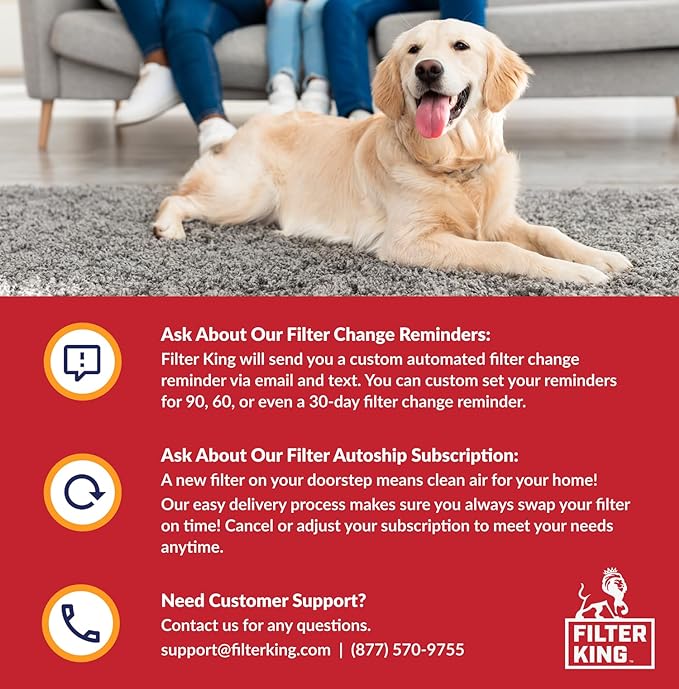 Filter King 25x32x1 Air Filter | 12-PACK | MERV 11 HVAC Pleated A/C Furnace Filters | MADE IN USA | Actual Size: 24.5 x 31.5 x .75"