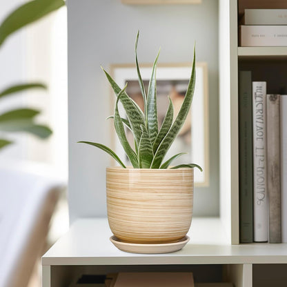 Ceramic Plant Pot 5 Inch - Modern Round Succulent Planter for Indoor Plants with Drainage Hole and Saucer, Office Home Room House Decor, Yellow