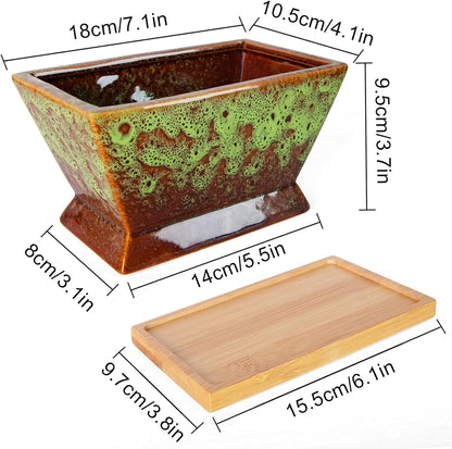 ARTKETTY Succulent Pots - 7 Inch Large Plant Pot with Drainage Tray, Shallow Ceramic Pots for Indoor Plants, Modern Cactus Bonsai Plant Container Decorative Home Office