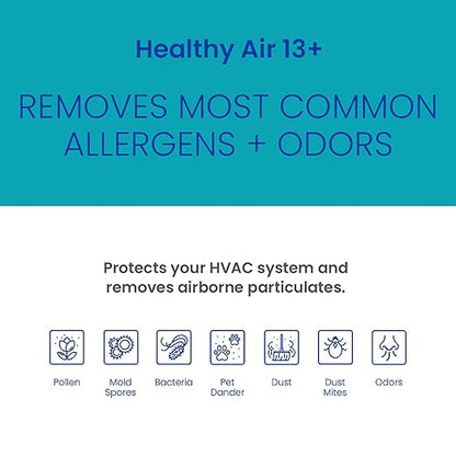 AprilAire 213CBN Replacement Filter for AprilAire Whole House Air Purifiers - MERV 13 with Carbon, Healthy Home Allergy + Odor Reduction, 20x25x4 Air Filter (Pack of 1)