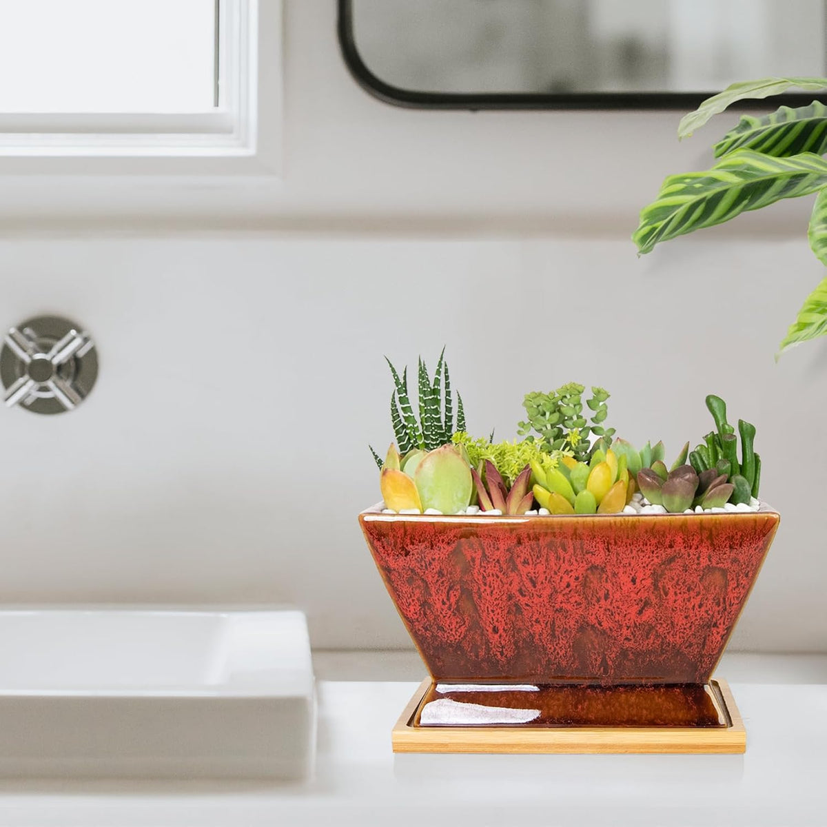 ARTKETTY Succulent Pots - 7 Inch Large Plant Pot with Drainage Tray, Shallow Ceramic Pots for Indoor Plants, Modern Cactus Bonsai Plant Container Decorative Home Office