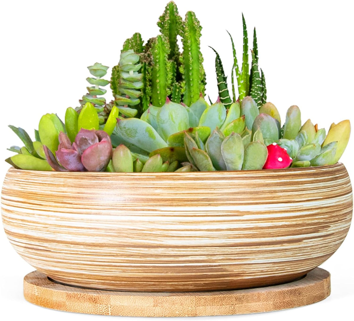 ARTKETTY Succulent Pots - 7.5 Inch Large Plant Pot with Bamboo Tray, Shallow Bonsai Pots with Drainage, Ceramic Planter for Indoor Plants, Cactus, Home Office Desk Decor
