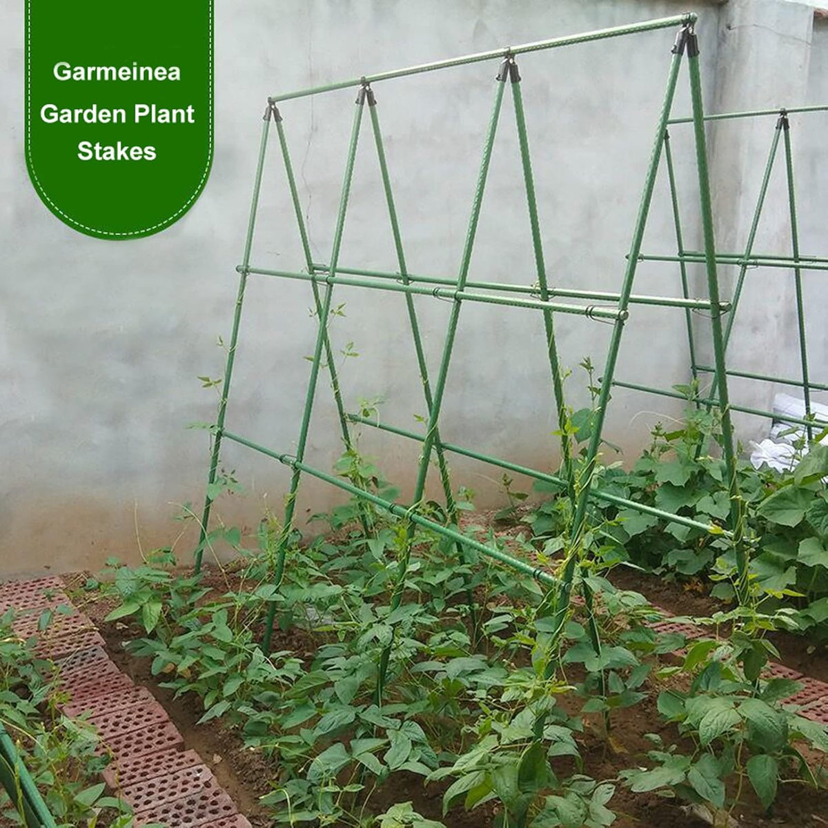 Garmeinea Garden Stakes 30 Inches Plastic Coated Steel Plant Stakes for Growing Climbing Plants, Pack of 25