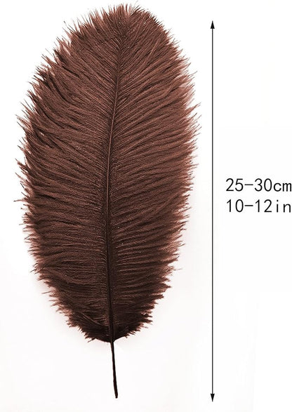 Ballinger Brown Ostrich Feathers Bulk - 24pcs 10-12inch Boho Feathers for vase，Wedding Party Centerpieces and Home Decor