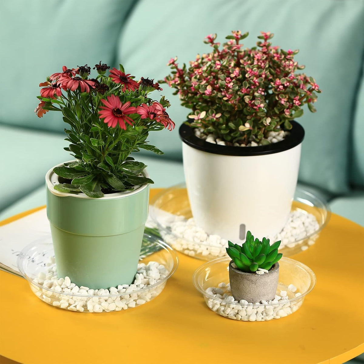 30 Packs Clear Plant Saucers for Indoor Outdoor Use 4/6/8/10/12/14 Inches Heavy Duty Plastic Plant Trays for Planter Bulk Flower Pot Drip Trays to Catch Water, Round Transparent